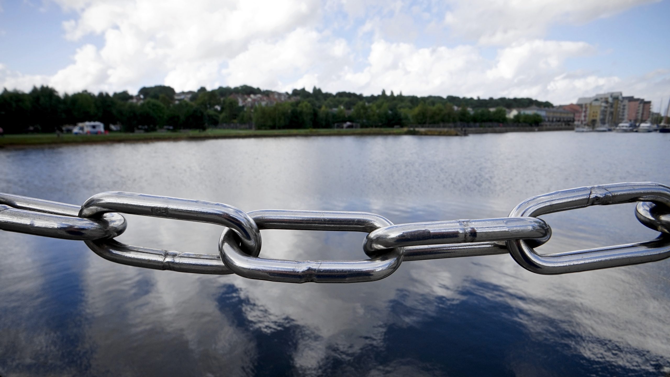 backlink